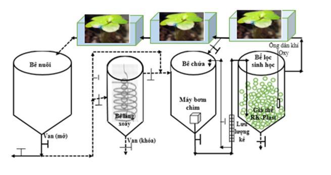 Hình 1. Hệ thống thực vật xử lý nước thải trong hệ thống tuần hoàn Các loài thực vật nghiên cứu được chọn là loại tự nhiên và thu thập từ các vùng ven nội ô thành phố Cao Lãnh.