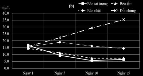 (p<0,05) với 2 NT bèo nhật và NT đối chứng. Nguyên nhân là do quá trình quang hợp của thực vật trong các nghiệm thức bèo tấm, bèo tai tượng và bèo nhật cung cấp oxy hòa tan cho hệ thống thí nghiệm.