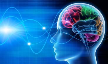 Bằng điện não đồ (electroencephalogram, EEG), các nhà não học đã ghi nhận được những loại điện thế (action potentials) từ bên