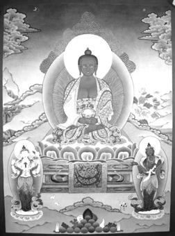 Đoản Nguyện Tái Sinh Vào Cõi Cực Lạc Của Đức Phật A Di Đà Do học giả và thành tựu giả Ra ga A sê (Karma Chakme Rinpoche đời thứ