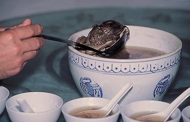 The cannibalism in China was documented in books. Click HERE to read the introduction.