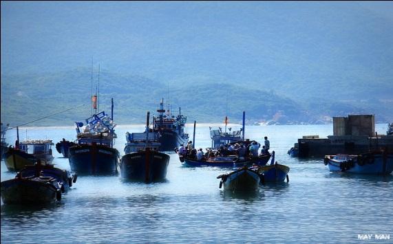 7h30: Dùng Đếnmàu bếncủa tàu tâmrạn Bình Hưng, lên ra bè nghỉsan ngơi. có)ngưỡng tại đảo Bình Hưng.