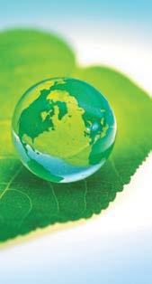 Báo cáo tác động liên quan đến môi trường và xã hội của công ty TUÂN THỦ PHÁP LUẬT VỀ BẢO VỆ MÔI TRƯỜNG Tăng trưởng tín dụng xanh đi cùng với sư phát triển bền vững: Việc phát triển bền vững kết hợp