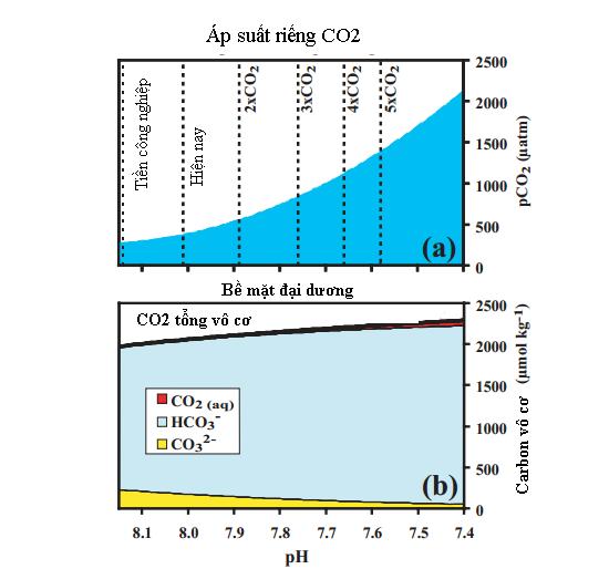 Nguồn: Joan, 2006. Hiǹh 2.2. (a) Sư gia tăng a p suâ t CO2 trong khi quyê n; va (b) sư thay đô i cacbon bê măṭ đaị dương Ba ng 2.