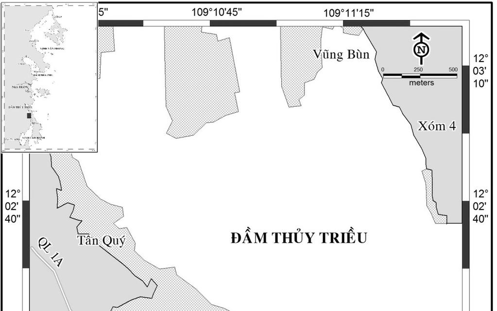 Nguyễn Thị Thanh Thủy, Võ Sĩ Tuấn, khu vực này để khai thác nguồn lợi bằng cách đào nền đáy, một phương thức gây tác động xấu đến hệ sinh thái đầm. Hình 3.
