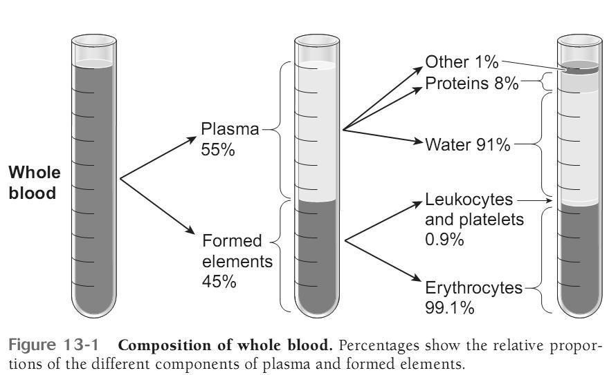 các chất chuyển trong huyết tương và trong hồng cầu. 5 5.