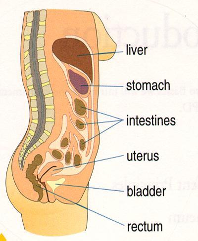 X. Điều trị Thẩm phân phúc mạc - Màng bụng là màng bán thấm Là thanh mạc lớn nhất cơ thể(= diện tích da) Che phủ