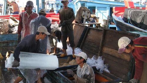 Mở cửa cho đánh bắt xa bờ TT - Việt Nam cần có chính sách tốt để thu gọn việc đánh bắt thủy sản ven bờ, đầu tư nhiều hơn cho đánh