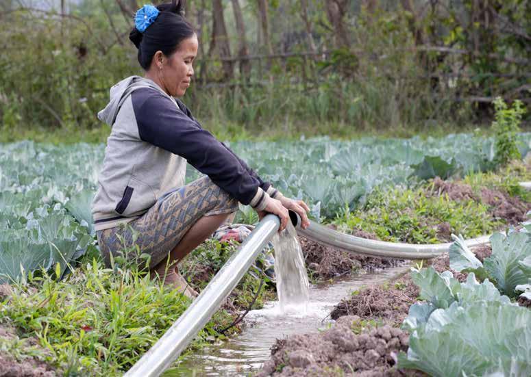 Nghiên cứu của IWMI Đông Nam Á Nhu cầu lương thực và điện ngày càng tăng Đầu tư quy mô lớn làm thay đổi