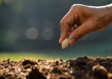 Gieo Hạt Thành công vang dội được bắt đầu từ những cố gắng nhỏ, vụ mùa bội thu là thành quả từ việc chọn lọc gieo trồng từng hạt giống.