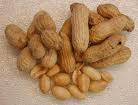 Ngăn chận tai biếng Trợ giúp tiêu hóa Giúp bệnh trĩ bớt đau Hạt Lạc (Peanut) Chống lại bệnh về ti Giúp giãm cân Chống lại bệnh