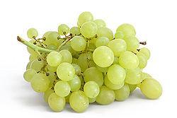 chận tai biếng tuyến tiền liệt Giãm mỡ Trái Nho (grapes) Giữ vững thị giác