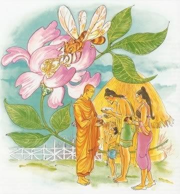 KINH PHÁP CÚ (49) Sa môn khất thực trong làng Ví như ong lượn nhịp nhàng bên hoa Kiếm