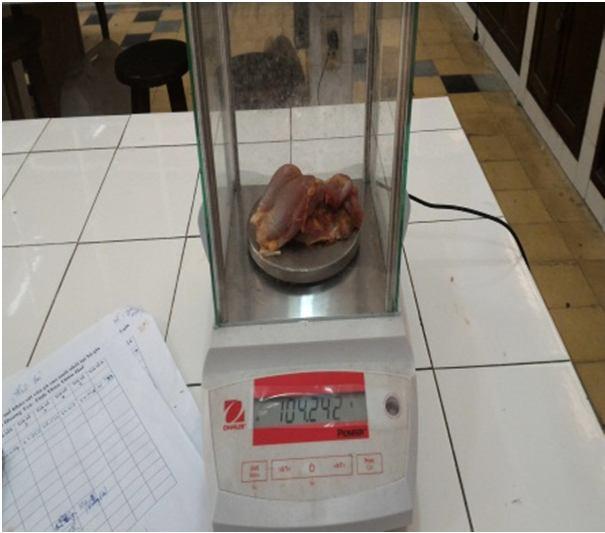 Tỉ lệ thịt đùi dao động từ 20,07-22,7% thấp hơn kết quả mổ khảo sát trong thí nghiệm của chúng tôi.
