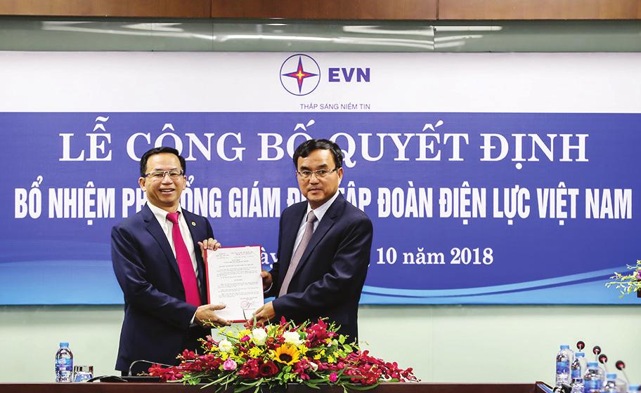 của Tập đoàn, cụ thể: Phó Tổng giám đốc Đinh Quang Tri thực hiện chức trách, nhiệm vụ của Tổng giám đốc Tập đoàn theo Quyết định số 145/QĐ-EVN ngày 16/5/2018 của HĐTV EVN.