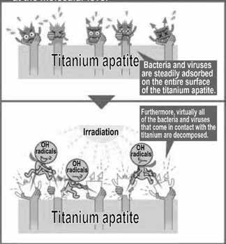 thụ trên toàn bề mặt của apatit titan