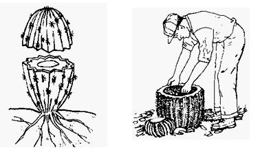 Bập dừa nước dùng để chẻ lạt, gọi là lạt dừa. Nó còn là loại phao nổi tự nhiên dùng để vượt sông.