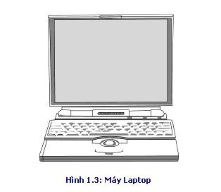 Các hãng sản xuất laptop và notebook nổi tiếng là IBM, Apple, Compaq, Dell, Toshiba và Hewlett-Packard.