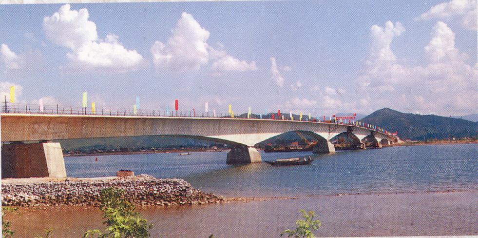 Một số cầu có khẩu độ nhịp lớn như Sông Gianh (L =120m) do hãng SETRA và Pressinet thiết kế và thi công.