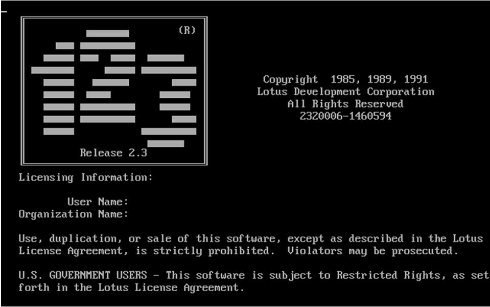 Lotus 1-2-3 được phát triển bởi Mitch Kapor năm 1982 trên máy IBM PC với những tính năng phức tạp hơn đã đánh bật VisiCalc ra khỏi thị trường.
