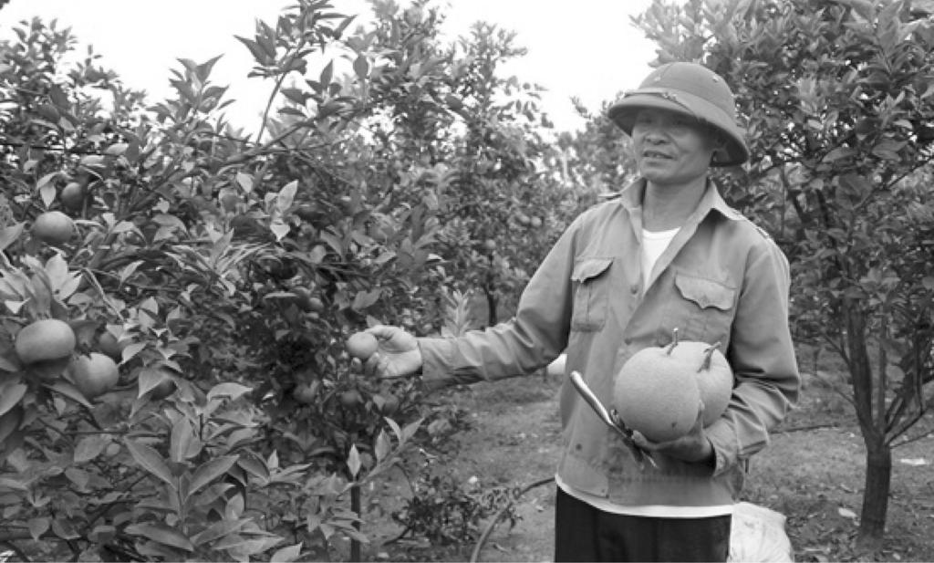 nhiều thành công trong thực hiện công tác Hội và phong trào nông dân tại địa phương. Xã Tân Tiến cách xa trung tâm huyện Chương Mỹ khoảng 13 km.