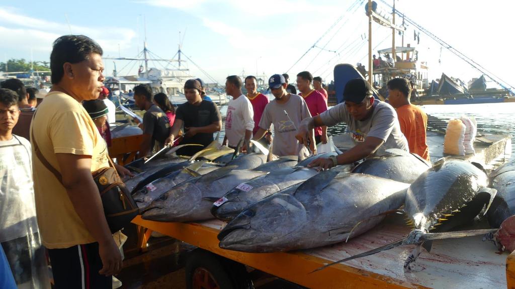 Mốc thời gian Ngày phát hành: 28/3/2019 Ngày hiệu lực: 28/9/2019 + Thời gian ân hạng là 12 tháng để thực hiện yêu cầu lao động Ví dụ Một công ty chế biến cá ngừ ở Philippines có lịch đánh giá CoC