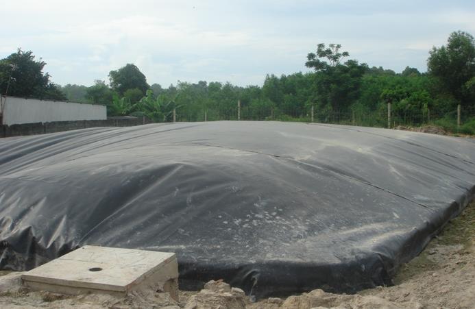 3. Tên dự án: XLNT Chăn nuôi heo bằng công nghệ Biogas trại Tám Do - Địa