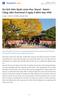 Hotline: Du lịch Hàn Quốc mùa thu: Seoul - Nami - Công viên Everland 5 ngày 4 đêm bay VNA 5 Ngày - 4 Đêm (T-S-KO